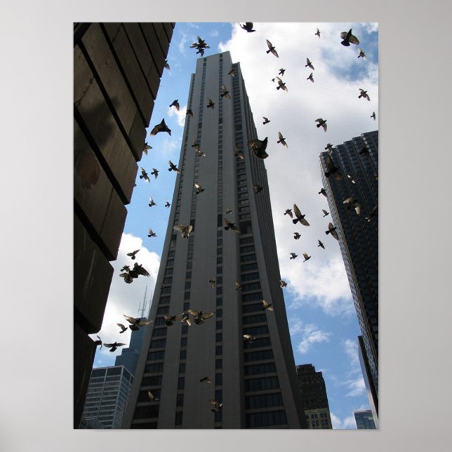 Poster Bank One Plaza vs Pigeon Escape (Devant)