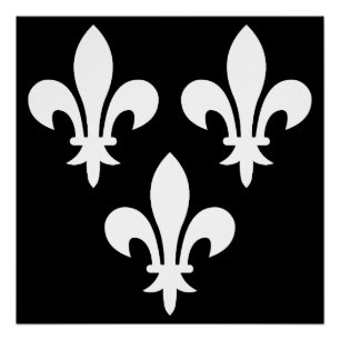 Poster Bannière médiévale de France