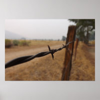 Poster Barb Wire Fence