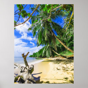 Poster Barbade Caribbean Island Beach Palm Tree Retraite