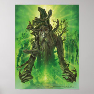 Poster Barbe