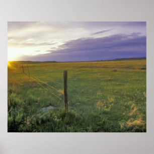 Poster Barbed Wire Fenceline dans le nord-est du Montana