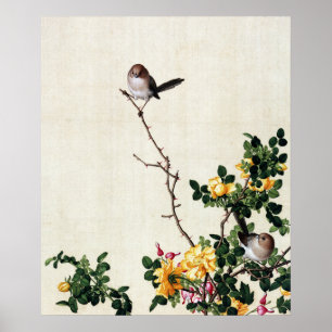 Poster Barberry et poissons jaunes avec Peony Fine Art