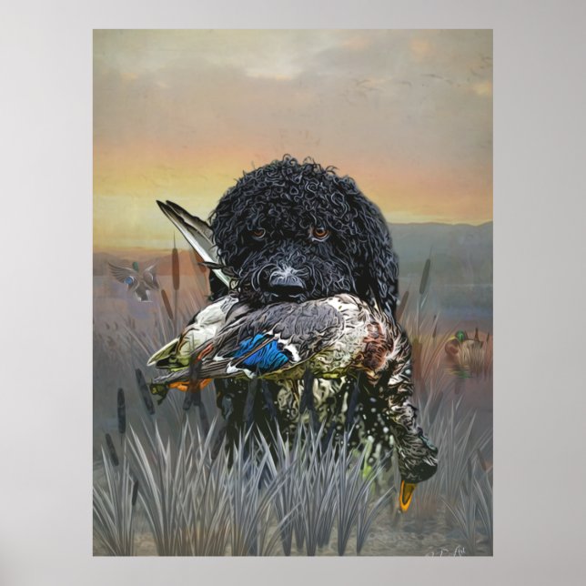 Poster Barbet, Chien d'eau français (Devant)