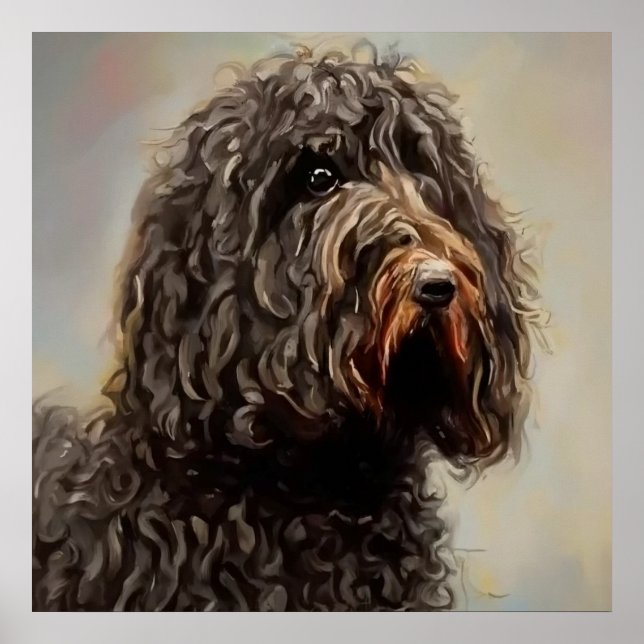 Poster Barbet - Portrait de chien (Devant)