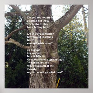 Poster Bare Tree Poem for Arbor Day