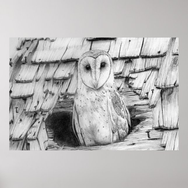 Poster Barn Owl (Devant)