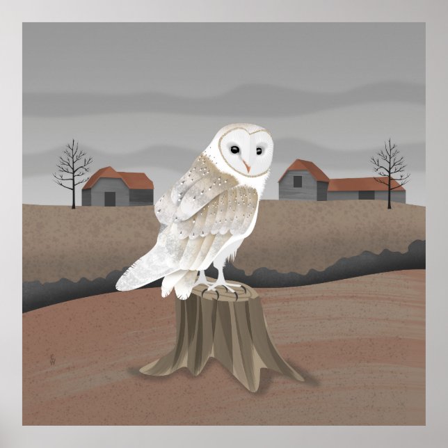 Poster Barn Owl (Devant)