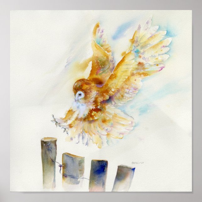 Poster Barn Owl (Devant)
