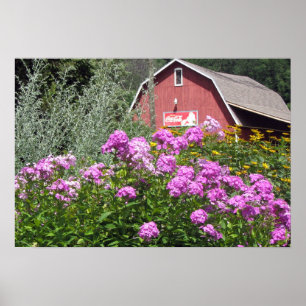 Poster Barne rouge