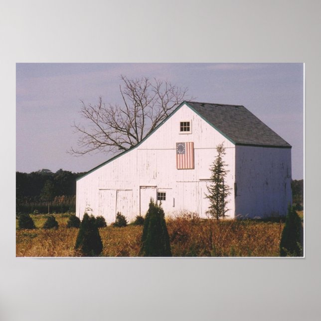 Poster Barne rustique (Devant)