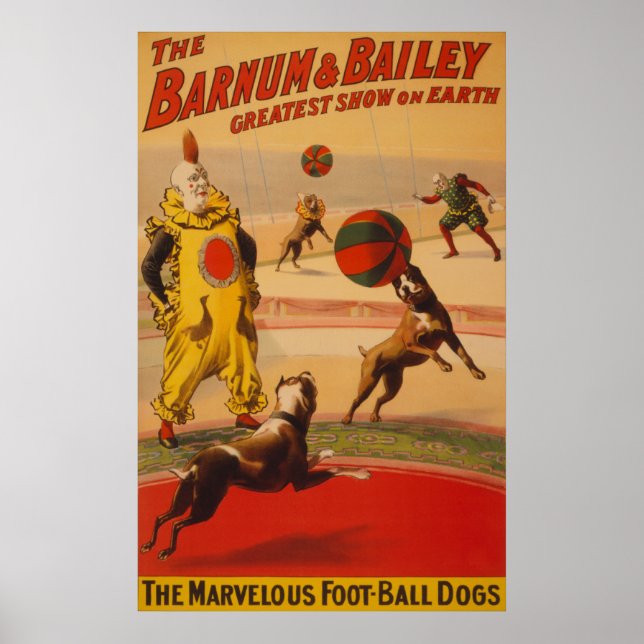 Poster Barnum & Bailey - Merveilleux Chiens De Football (Devant)