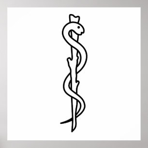 Poster Barre d'Asclepius