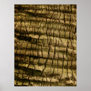 Poster Barre de palmiers