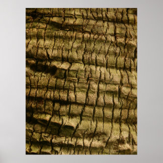 Poster Barre de palmiers