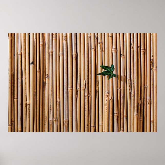 Poster barrière pare-bambou (Devant)