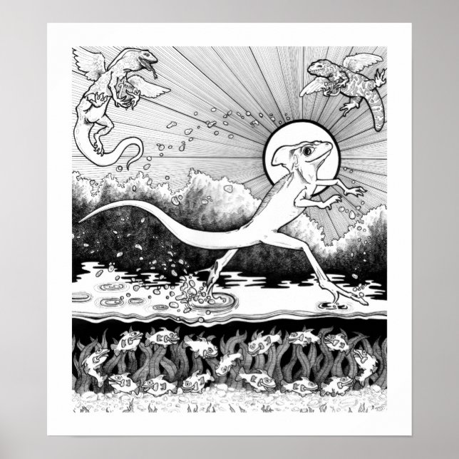 Poster Basilisk - Animaux - 15 x 17 (Devant)