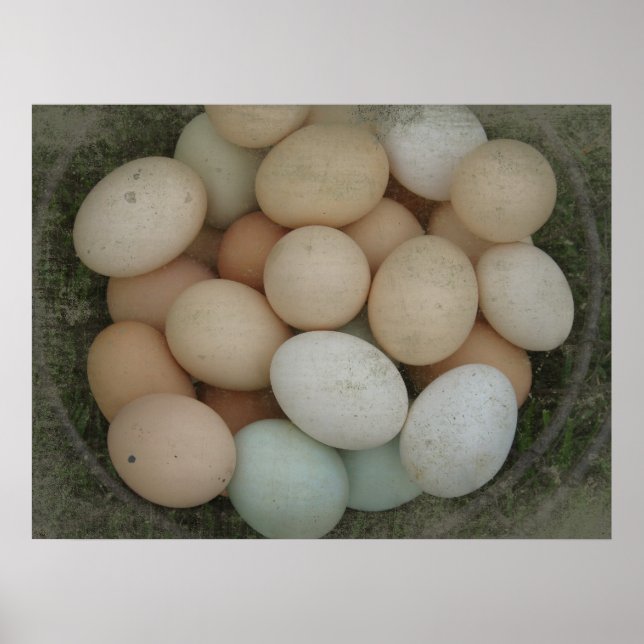 Poster Basket d'Eggs (Devant)