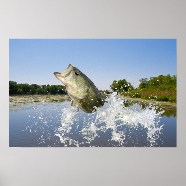 Poster Bass Jump 2013 (Devant)