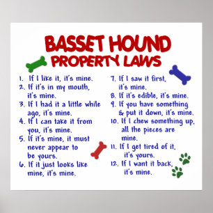 POSTER BASSET HOOK PL2