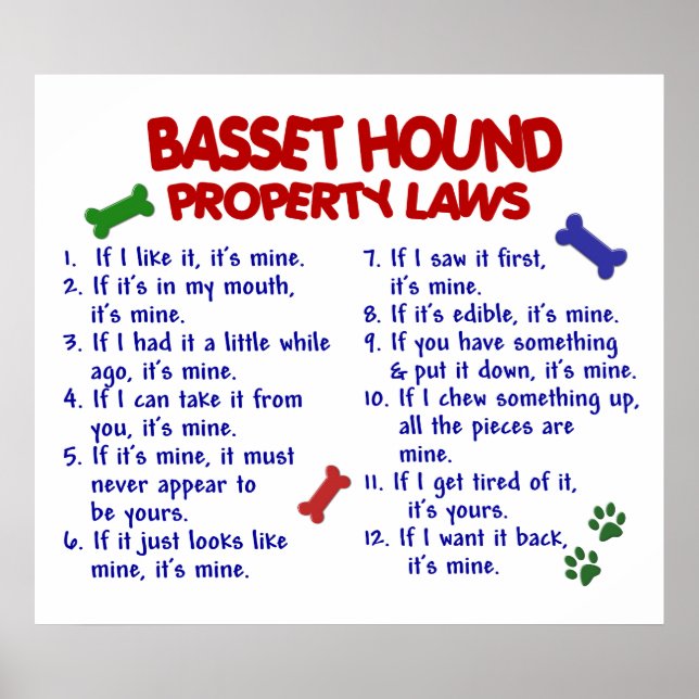 POSTER BASSET HOOK PL2 (Devant)