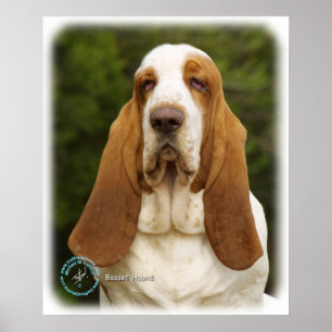 Poster Basset Hound 9L9D-22_2