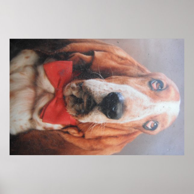 Poster Basset Hound Avec Cravate Red Bow (Devant)