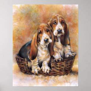 Poster Basset Hounds