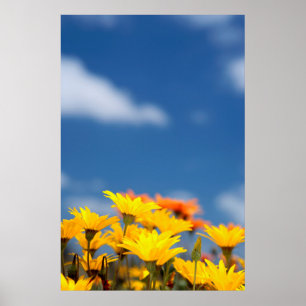 Poster Bassins De Namaqualand Orange Et Jaune