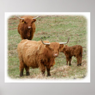 Poster Bataille de Highland 9Y316D-017