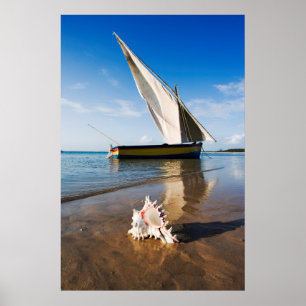 Poster Bateau À Voile Et Coquille   Mozambique, Benguerra