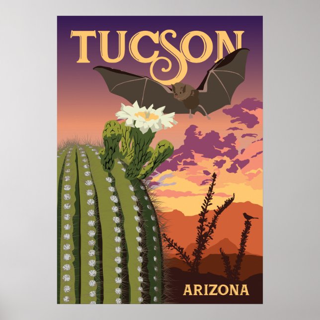 Poster Bateau de 28 po x 20 po et Saguaro - Tucson, Arizo (Devant)