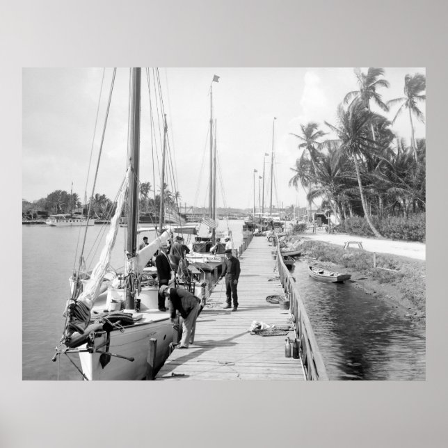 Poster Bateaux à voile de Miami, 1905 (Devant)