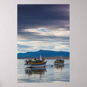 Poster Bateaux de tourisme sur la baie de Seno Ultima Esp
