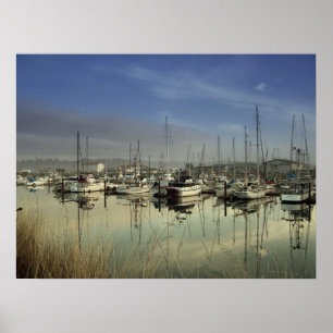 Poster Bateaux Du Port