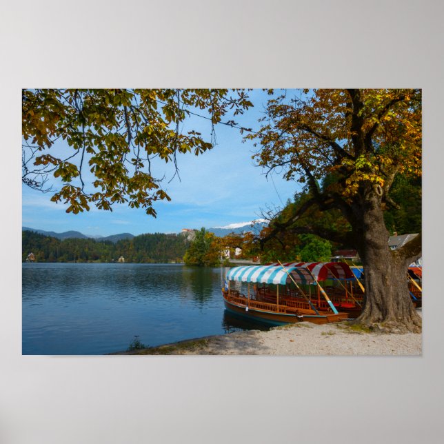 Poster Bateaux touristiques dans le lac Bled en automne (Devant)