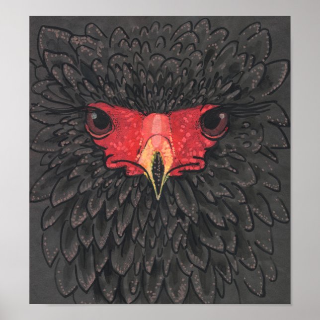 Poster Bateleur Eagle African Bird Portrait Papier Collag (Devant)