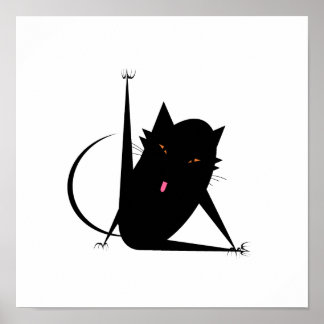 Poster Bath Cat