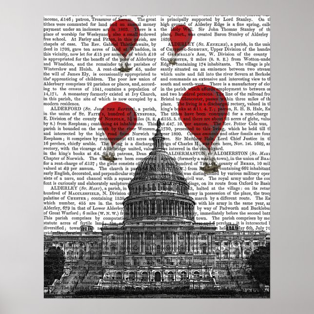 Poster Bâtiment du Capitole américain et ballons à air ch (Devant)