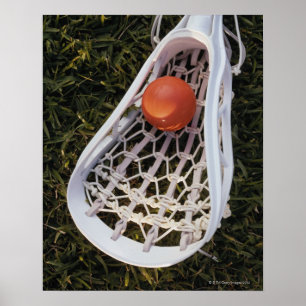 Poster Bâton et boule de lacrosse