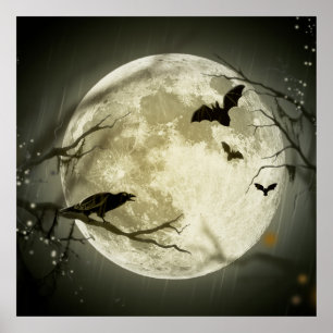 Poster Bats fly Crow se trouve devant la Pleine lune d'Ha