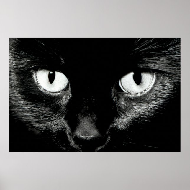 Poster Bauve (Devant)