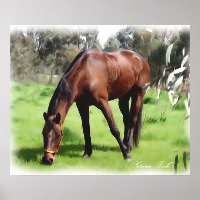 Poster Bay Horse Green Pick (Devant)