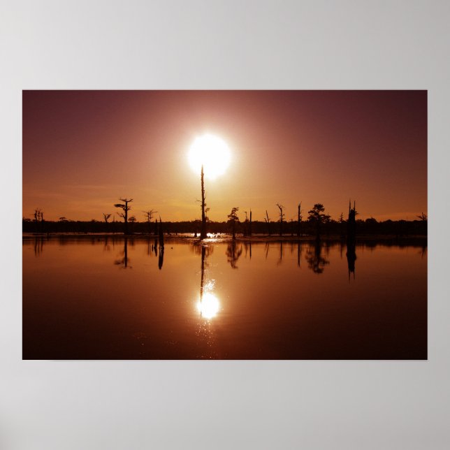 Poster Bayou Sunset (Devant)