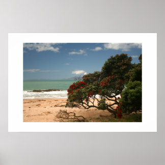 Poster Beach Bliss - Pohutukawa Tree