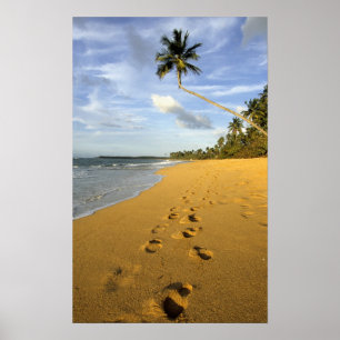 Poster Beach Porto Rico
