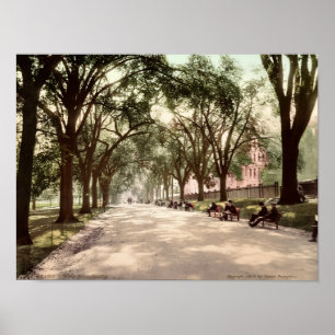Poster Beacon Street Mall Boston c1899 Inspiré de l'ancie