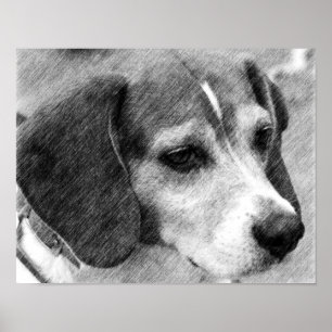 Poster Beagle Dog Face Pencil Art #2