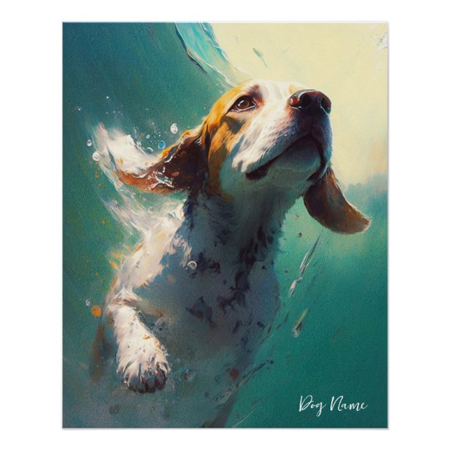 Poster Beagle dog swimming in water 005 (Devant)