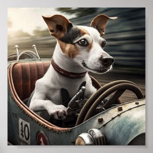 Poster Beagle driving Racing car